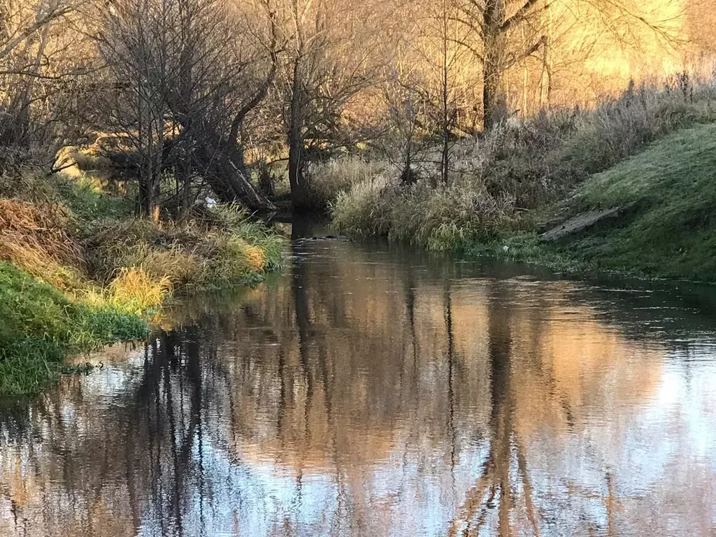 Участок в Московская область, Чехов муниципальный округ, с. Ивановское ... - Фото 2