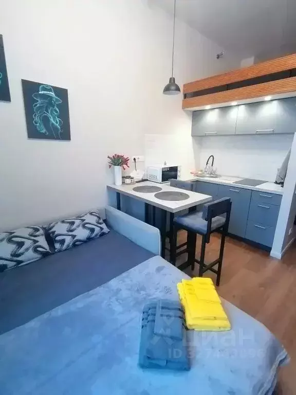 Студия Москва Ботаническая ул., 41К7 (23.0 м) - Фото 1