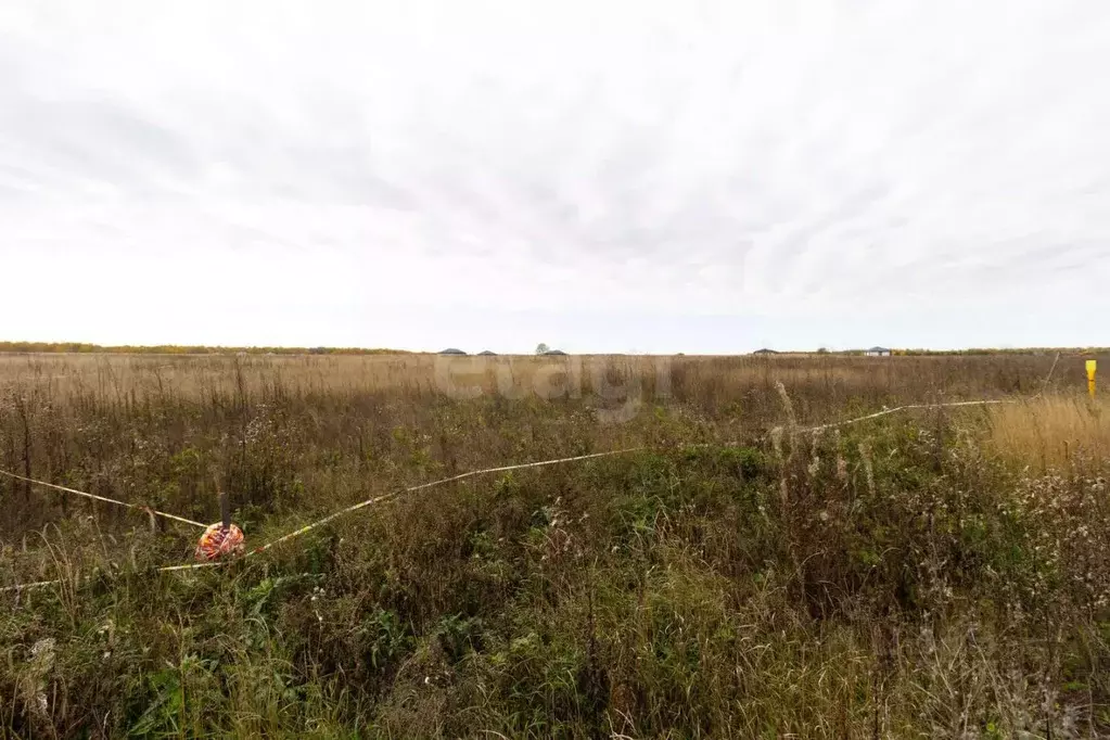 Участок в Тюменская область, Тюменский муниципальный округ, ... - Фото 0