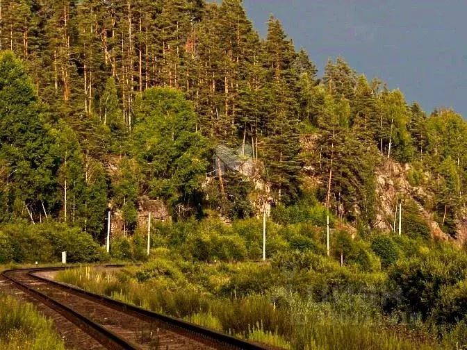 Участок в Карелия, Лахденпохский муниципальный округ, пос. Куликово  ... - Фото 2