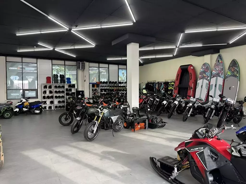 Помещение свободного назначения в Алтайский край, Барнаул ул. Попова, ... - Фото 1