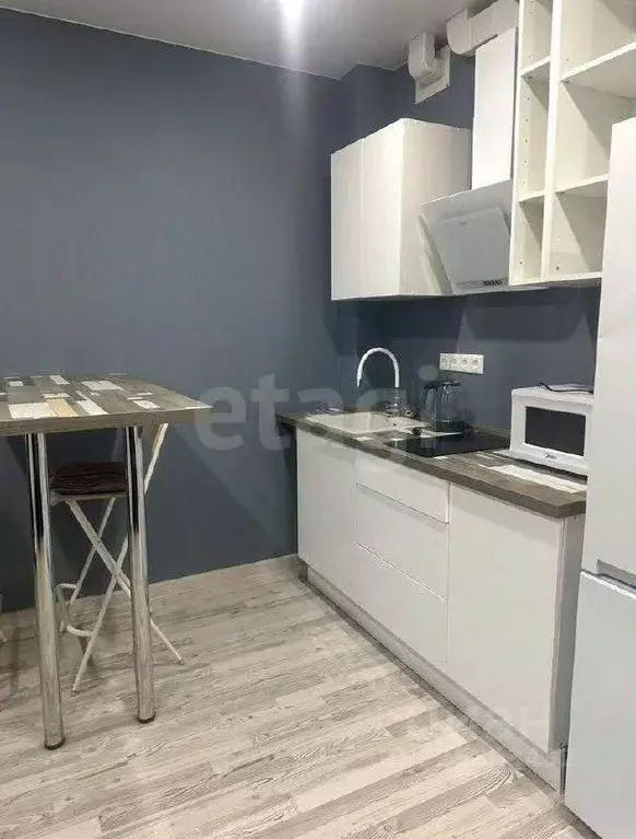 Студия Пермский край, Пермь ул. Агатовая, 32 (22.3 м) - Фото 2