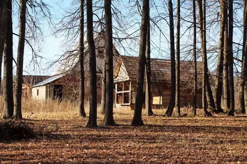 Дом в Башкортостан, Иглинский район, Тавтимановский сельсовет, Спутник ... - Фото 1