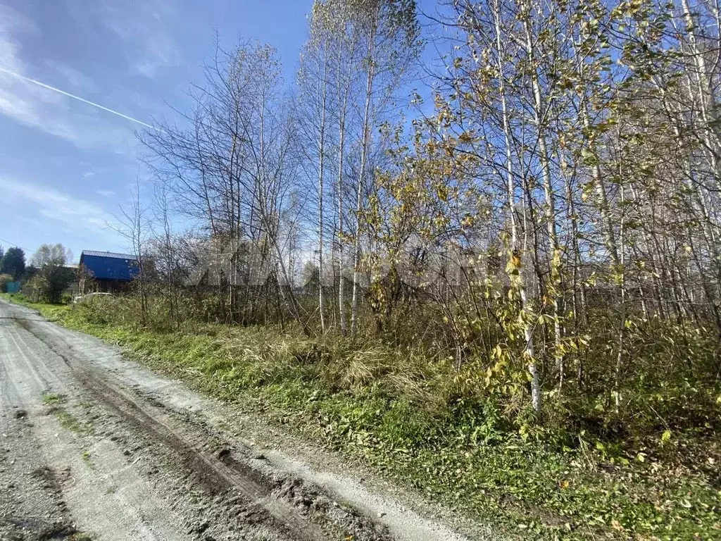 Участок в Новосибирская область, Новосибирский район, Раздольненский ... - Фото 2