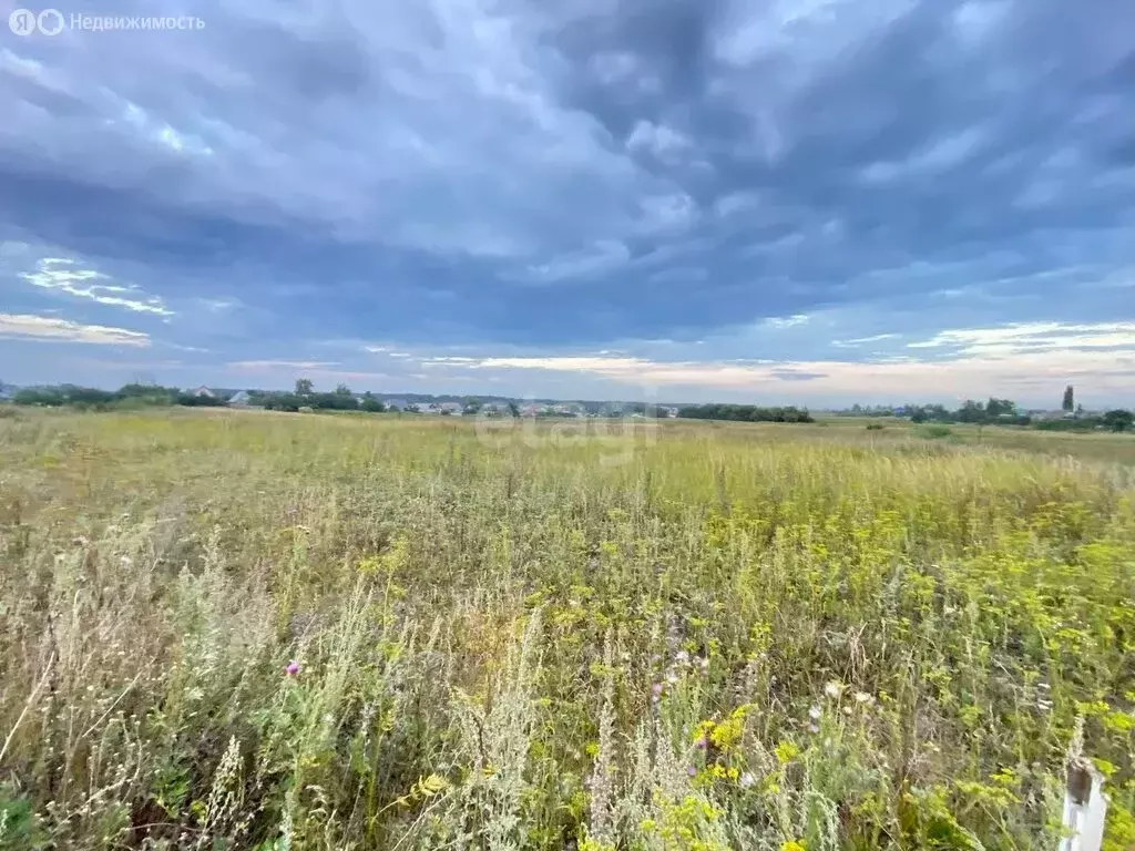 Участок в село Пушкари, улица Тамары Дерунец (12.75 м) - Фото 1