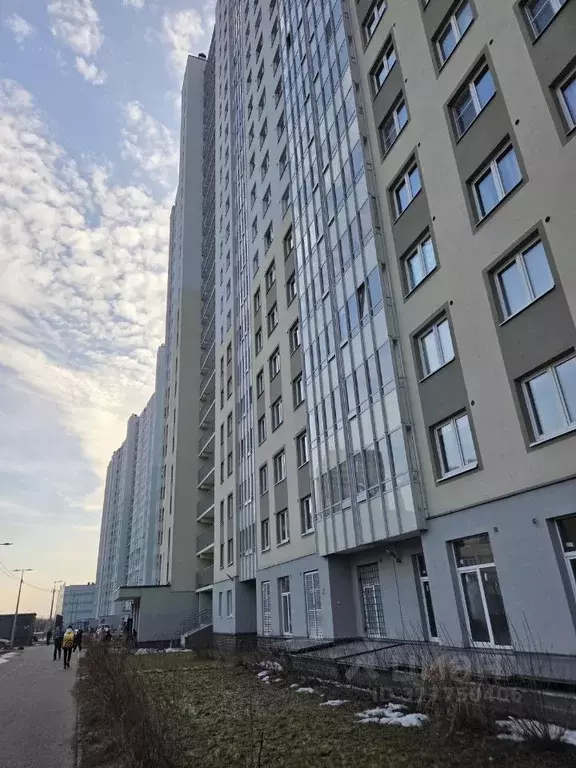 Студия Санкт-Петербург ул. Чарушинская, 24к1 (20.3 м) - Фото 1