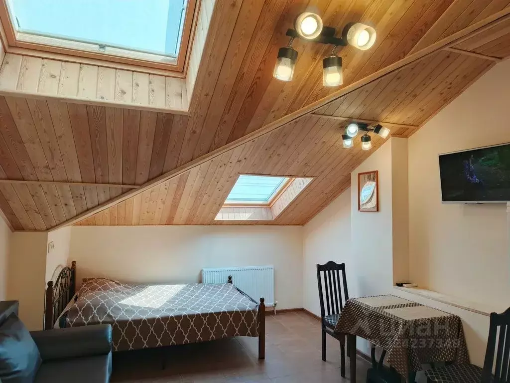 Студия Краснодарский край, Геленджик ул. Мира, 44лит2 (25.0 м) - Фото 2