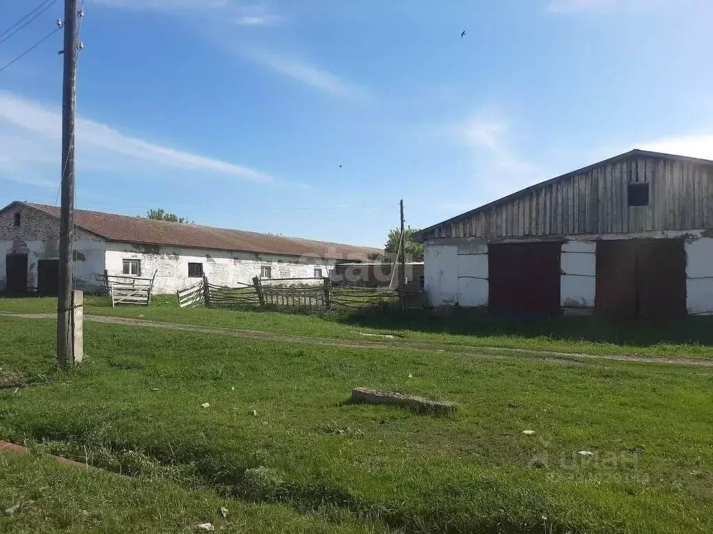 Склад в Алтайский край, Краснощековский район, Маралихинский ... - Фото 2