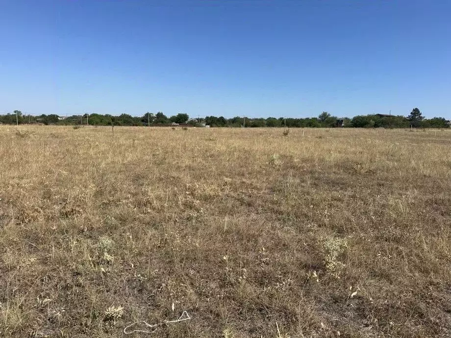 Участок в Крым, Симферопольский район, Урожайновское с/пос, Ореанда ... - Фото 1