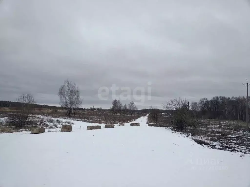 Участок в Тульская область, Ясногорский район, Иваньковское с/пос, с. ... - Фото 2