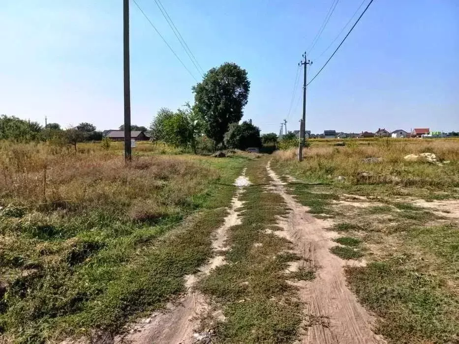 Участок в Московская область, Клин городской округ, д. Ситники ул. ... - Фото 1