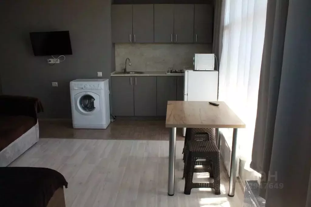 Студия Краснодарский край, Сочи ул. Мира, 27 (20.0 м) - Фото 1