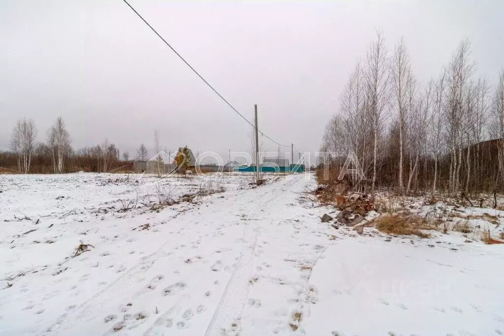 Участок в Тюменская область, Нижнетавдинский муниципальный округ, ... - Фото 1