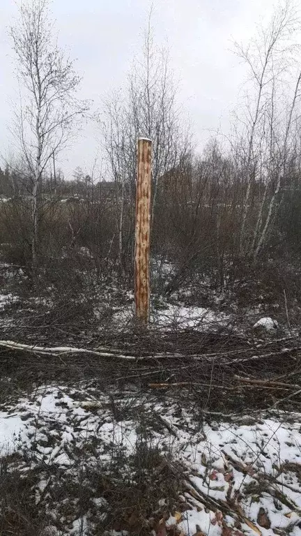 участок в саха (якутия), якутск городской округ, с. маган (9.52 сот.) - Фото 0