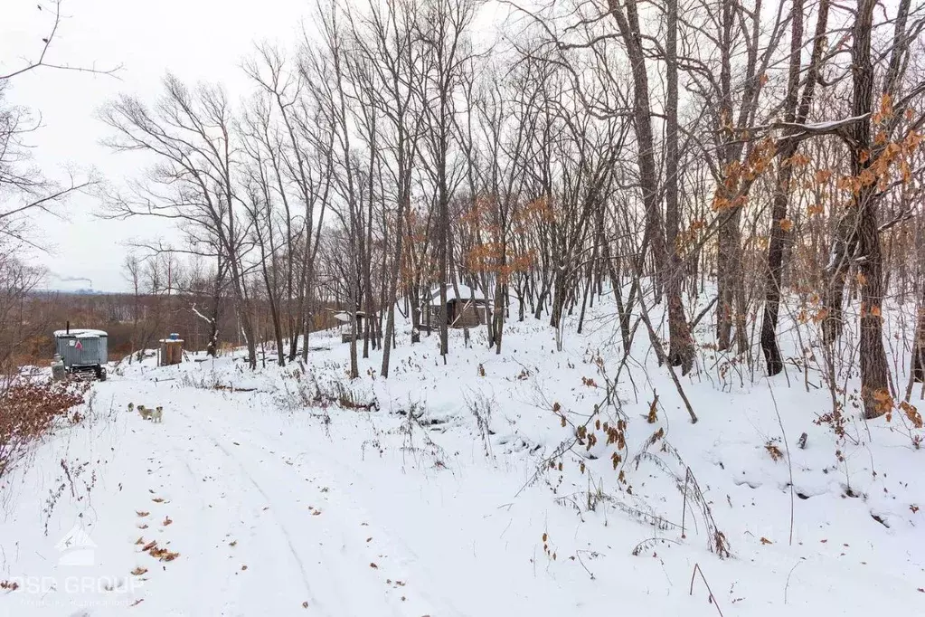 Участок в Хабаровский край, Хабаровский район, Мичуринское с/пос, с. ... - Фото 1