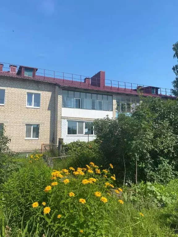 3-к кв. Брянская область, Брянский район, Добрунское с/пос, д. Добрунь ... - Фото 1