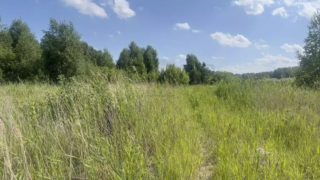 Участок в Челябинская область, Каслинский муниципальный округ, с. ... - Фото 2