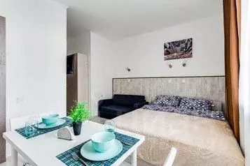 1-к кв. Московская область, Одинцово ул. Сколковская, 3А (18.0 м) - Фото 1