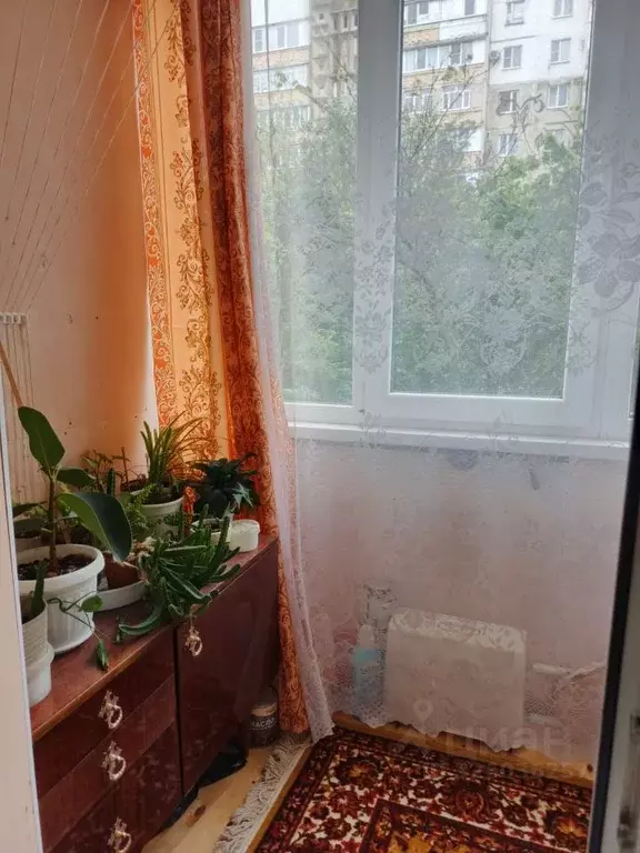 3-к кв. Ставропольский край, Ставрополь ул. Некрасова, 84 (70.8 м) - Фото 1