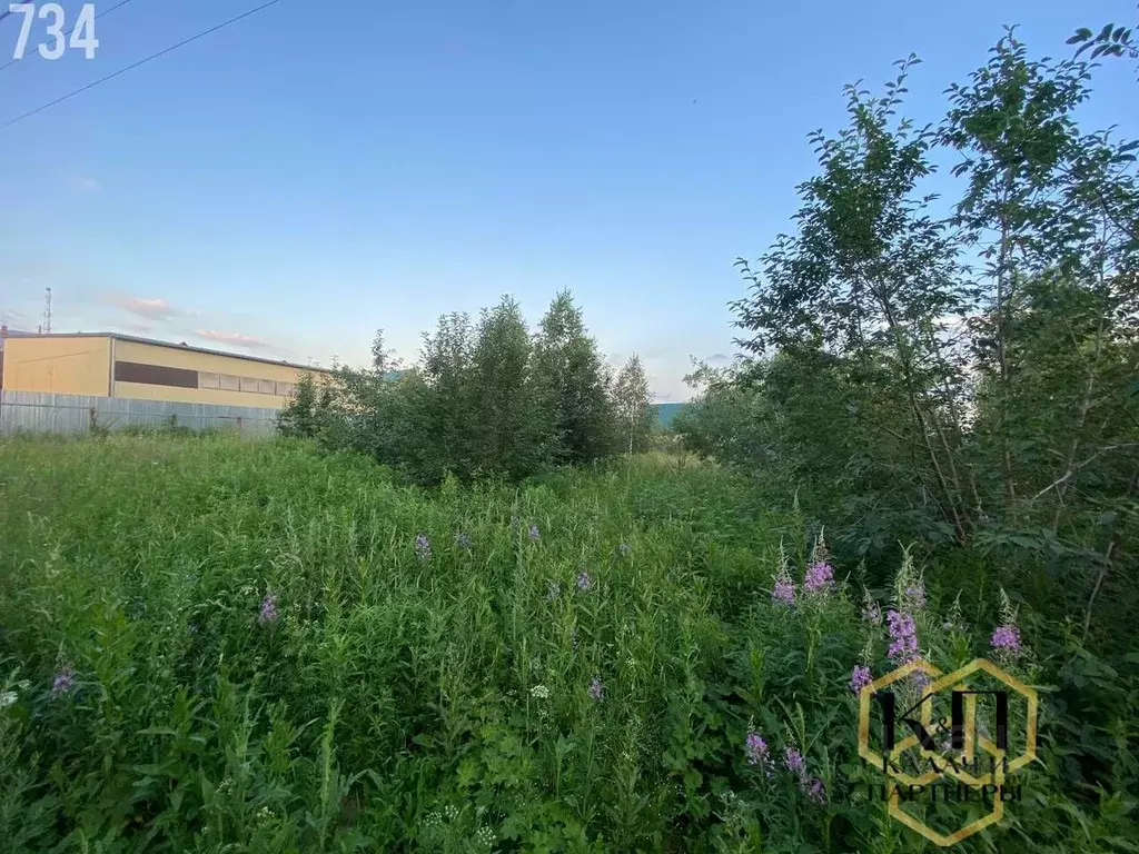 Участок в Свердловская область, Полевской ул. Блюхера, 77 (12.1 сот.) - Фото 2