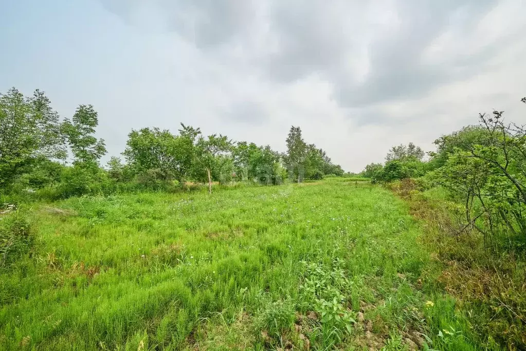 Участок в Хабаровский край, Хабаровск Содружество СНТ, ул. Калиновая ... - Фото 2