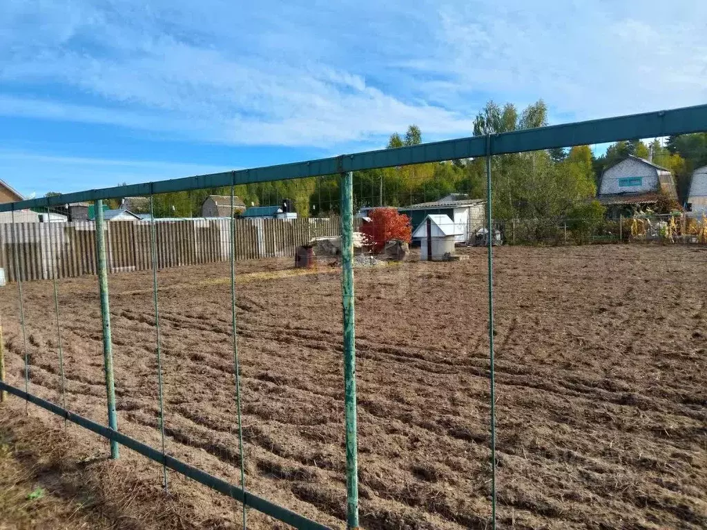 Участок в Брянская область, Брянский район, Нетьинское с/пос, ... - Фото 1