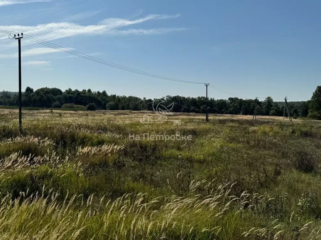 Участок в Московская область, Ступино городской округ, с. Мещерино  ... - Фото 1