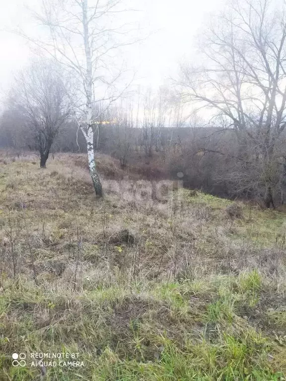 Участок в Калужская область, Козельский район, Каменка с/пос, д. ... - Фото 1