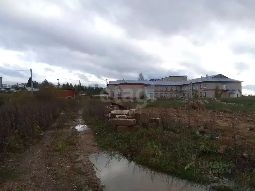 Участок в Вологодская область, Сокольский муниципальный округ, ... - Фото 1