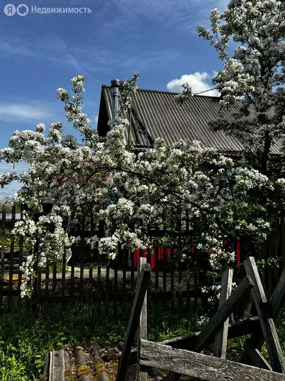 Дом в Архангельск, исторический район Соломбала, Балтийская улица, 5 ... - Фото 1