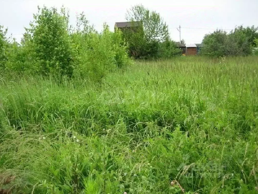 Участок в Ленинградская область, Волховский район, Кисельнинское ... - Фото 2