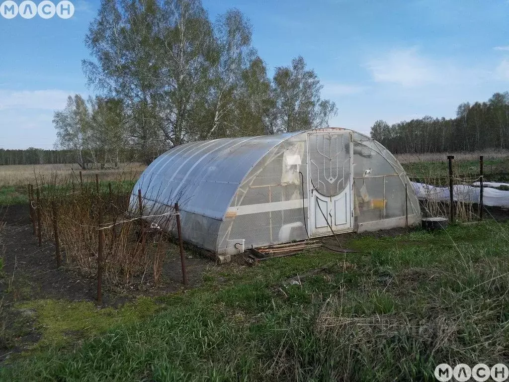 Помещение свободного назначения в Омская область, Омский район, с. ... - Фото 1