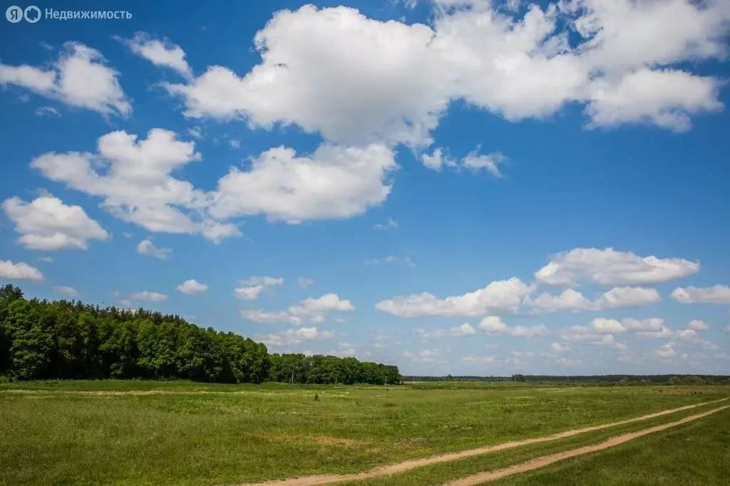 Участок в Тверская область, Калининский муниципальный округ, деревня ... - Фото 1
