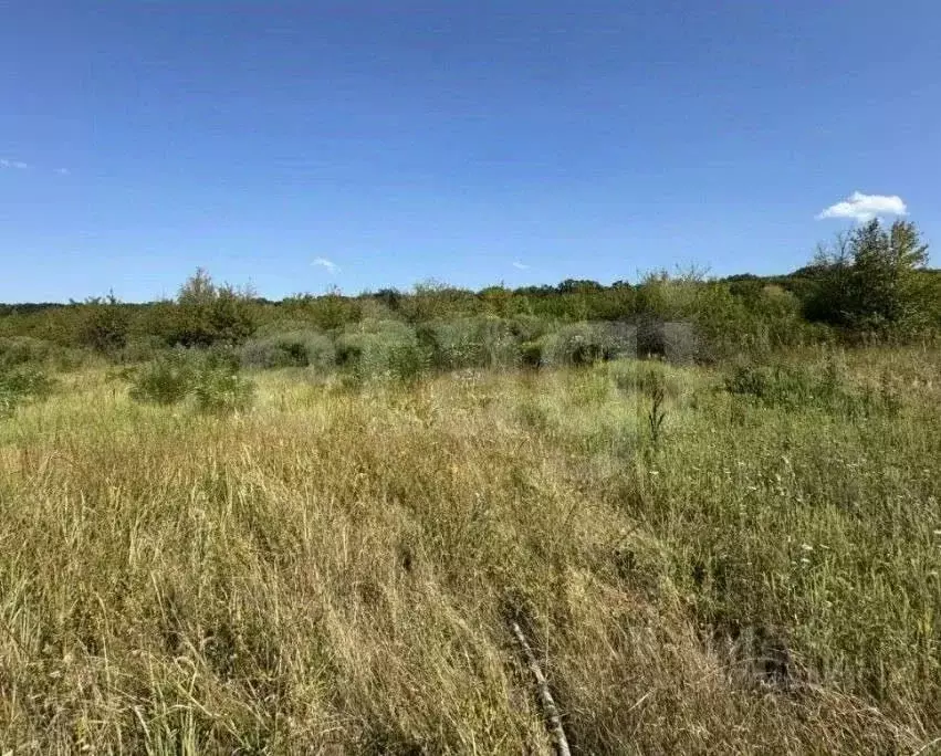 Участок в Ростовская область, Азовский район, с. Александровка ... - Фото 1