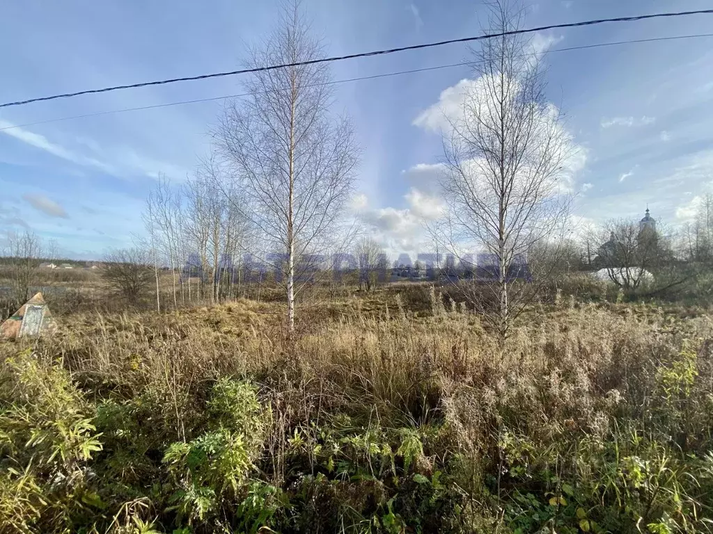 Участок в Ярославская область, Переславль-Залесский 5-я Ямская ул. ... - Фото 2