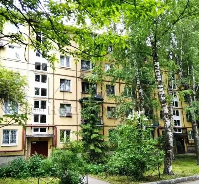 2-к кв. Санкт-Петербург просп. Шаумяна, 87 (45.9 м) - Фото 0