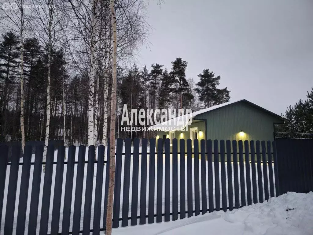 Дом в Ларионовское сельское поселение, территория Северная (68 м) - Фото 1