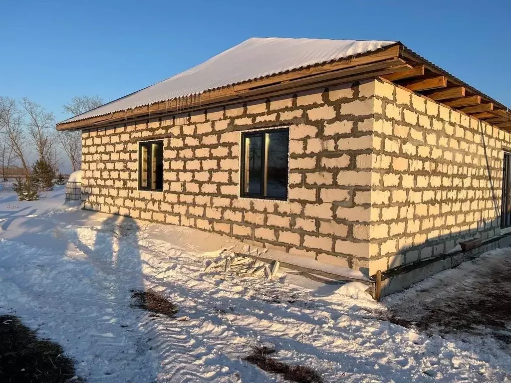 Дом в Алтайский край, Павловский район, пос. Новые зори Молодежная ул. ... - Фото 1