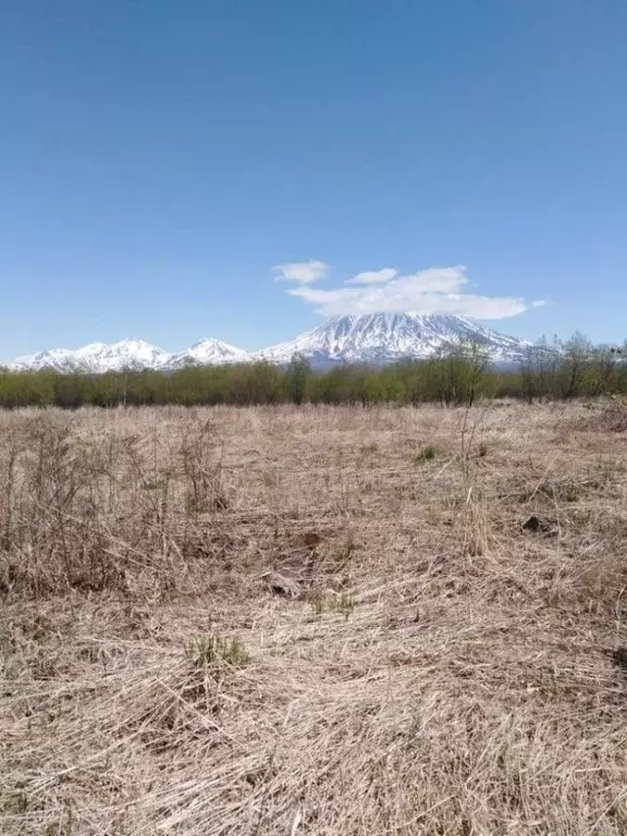 Участок в Воронежская область, Рамонский район, Ступинское с/пос, Вита ... - Фото 2