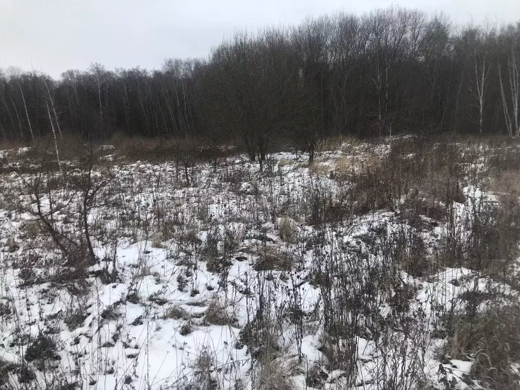 Участок в Московская область, Зарайск муниципальный округ, д. ... - Фото 1