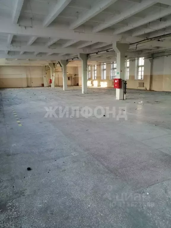 Помещение свободного назначения в Новосибирская область, Новосибирск ... - Фото 0
