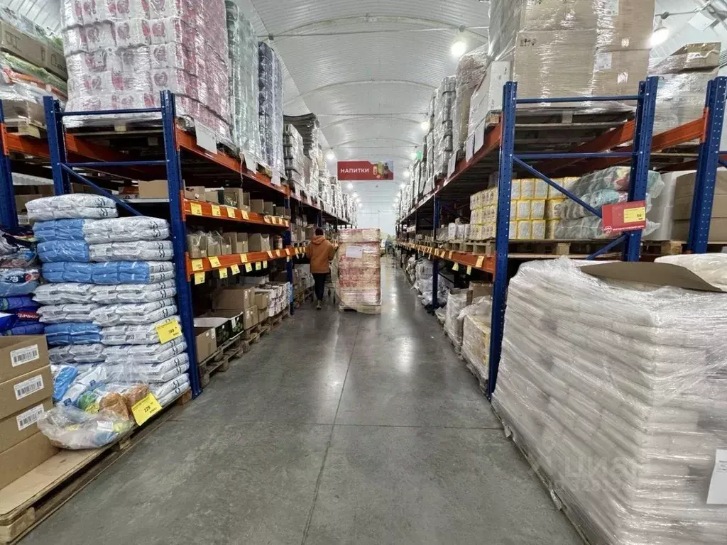 Торговая площадь в Тамбовская область, Тамбов Пятницкая ул., 12 (788 ... - Фото 1