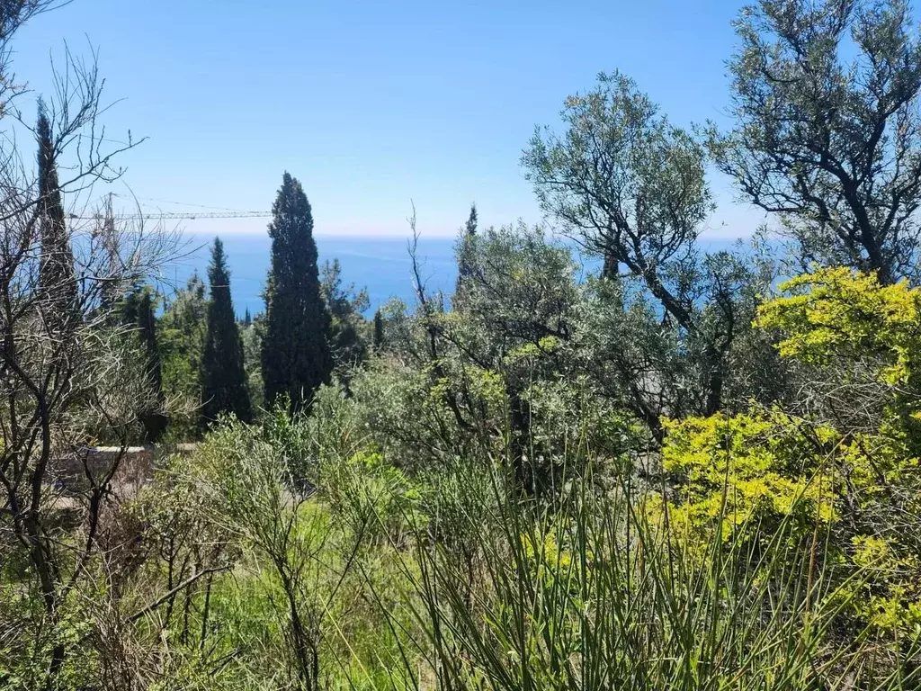 Участок в Крым, Ялта муниципальный округ, Парковое пгт ш. Парковое, 18 ... - Фото 1