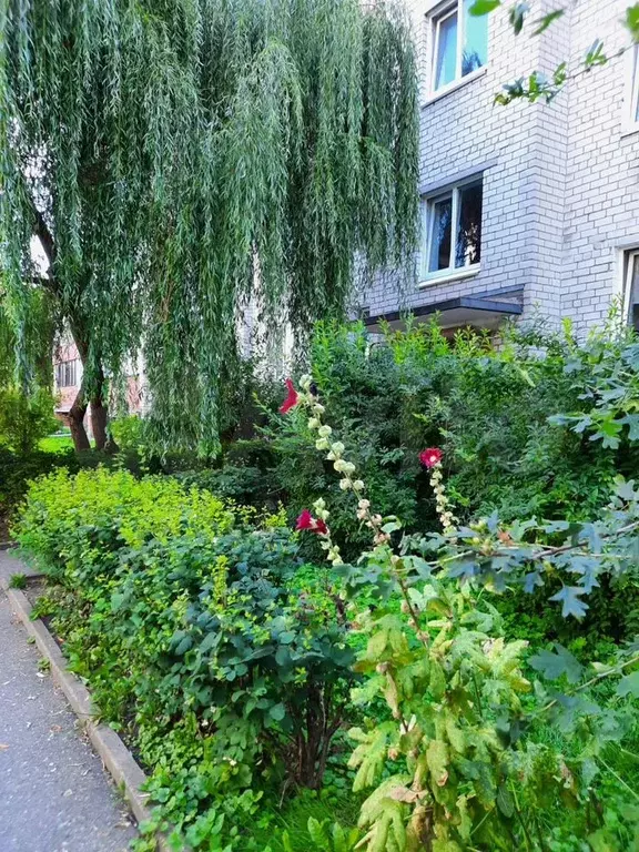 1-к. квартира, 35 м, 1/5 эт. - Фото 0
