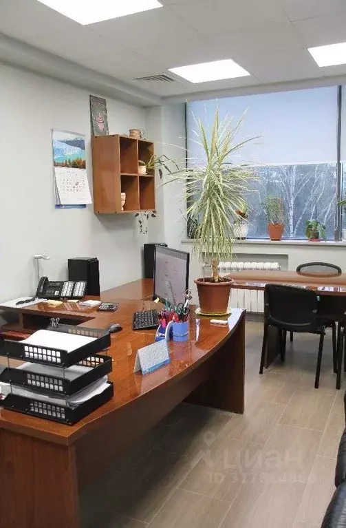 Офис в Санкт-Петербург ул. Репищева, 20 (180 м) - Фото 1