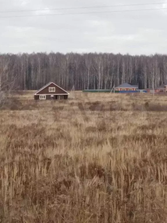 Купить Участок В Богородске Нижегородской