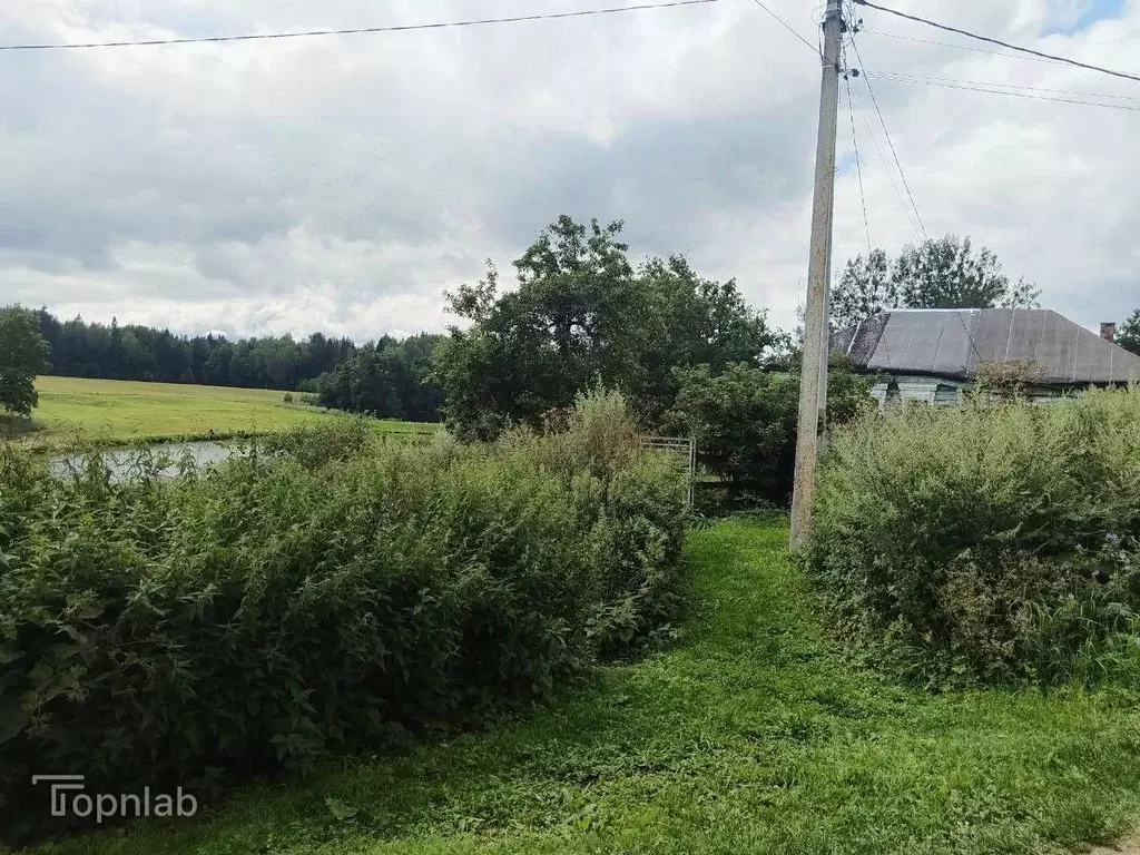 Участок в Калужская область, Жуковский район, Истье с/пос, д. Большое ... - Фото 0