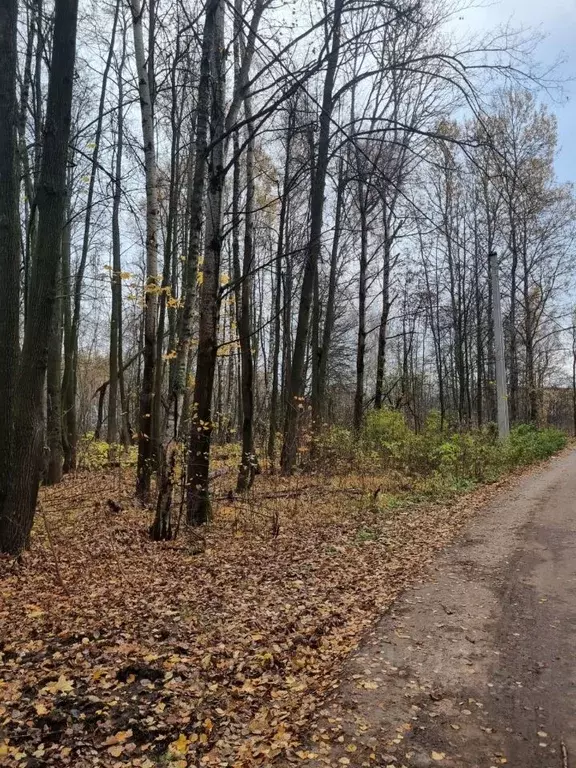 Участок в Московская область, Ступино городской округ, с. Липитино ул. ... - Фото 0