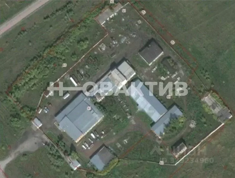 Производственное помещение в Новосибирская область, Чистоозерное рп ... - Фото 2
