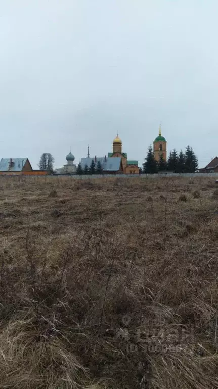 Участок в Тульская область, Алексинский район, с. Колюпаново  (30.0 ... - Фото 0